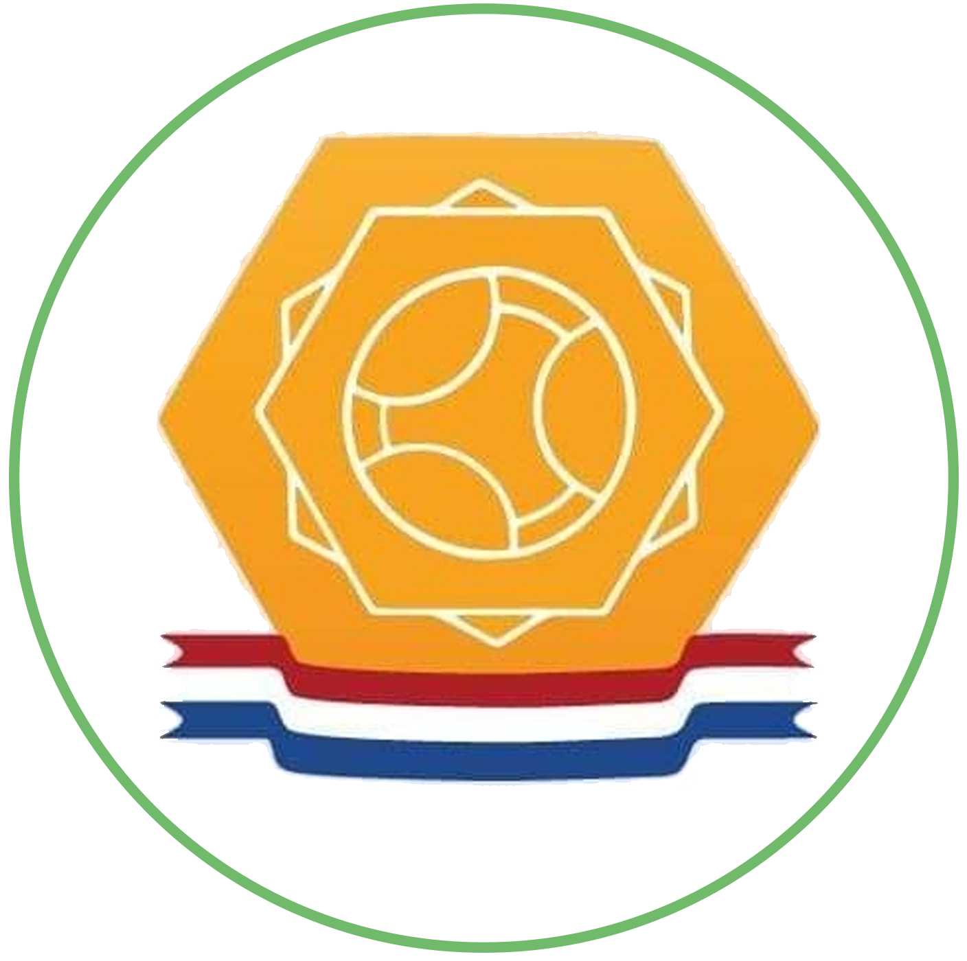 Netherlands Quadball logo