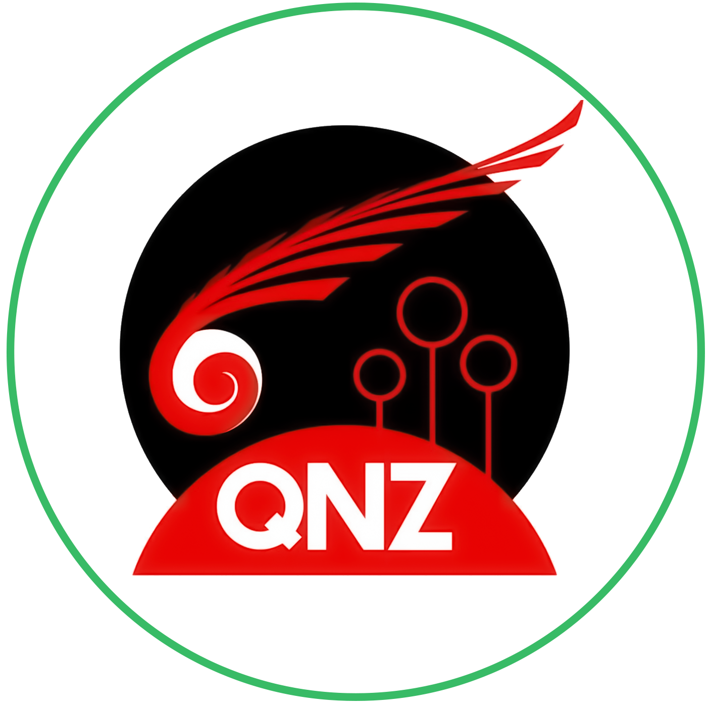New Zealand Quadball logo