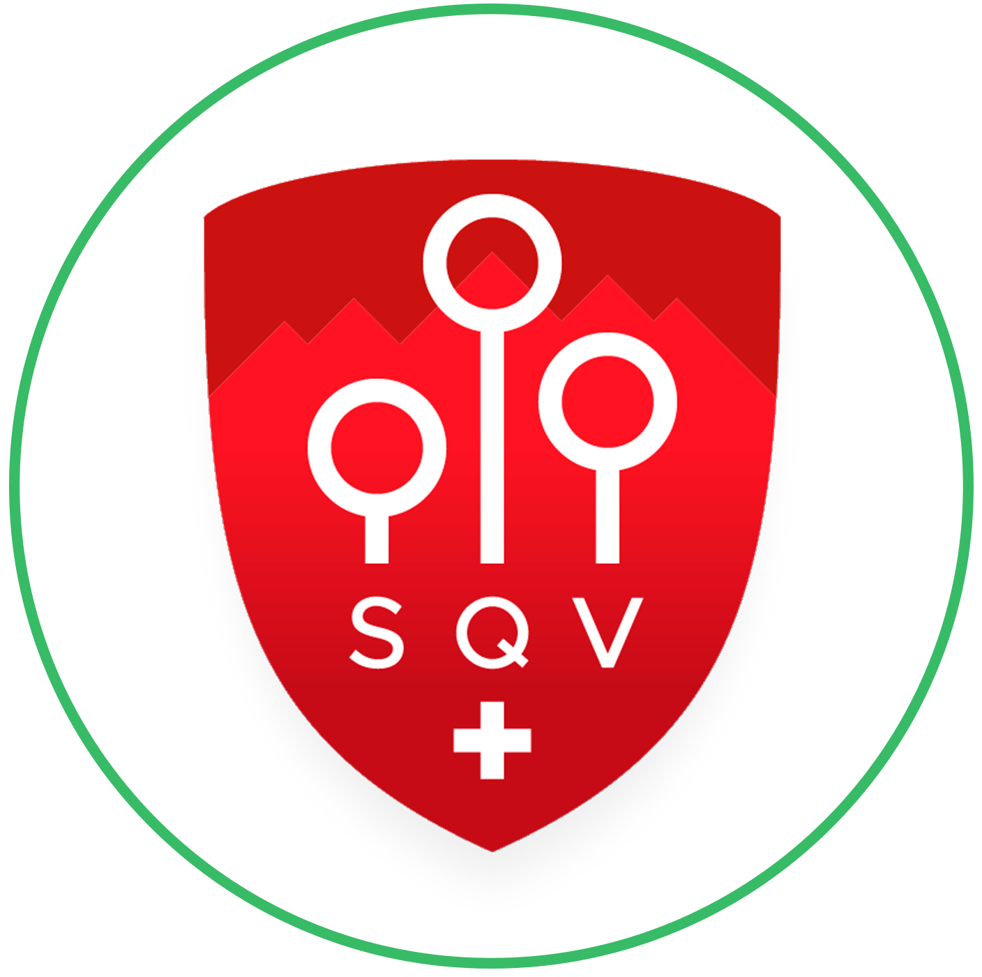 Switzerland Quadball logo